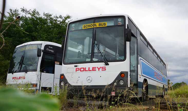 Polleys Mercedes OH1621 Custom SB40 Pelican